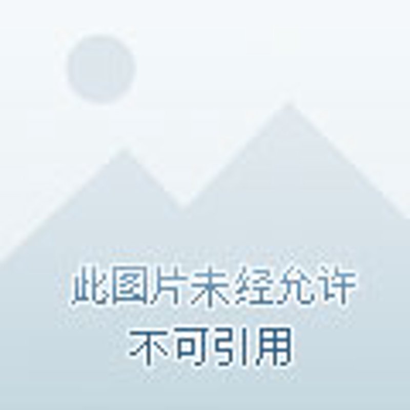 超声诊断仪在现代医疗中的应用与革新